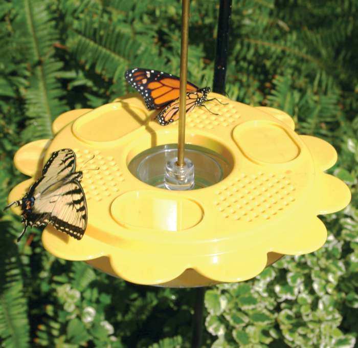 Flutterby Butterfly Feeder